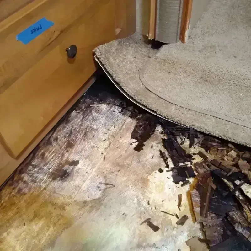 Wood Floor Water Damage in Marion, IA